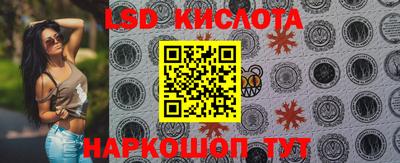 mdpv Краснознаменск