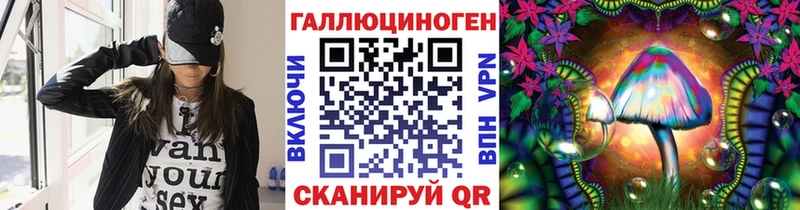купить наркотик  Советск  Галлюциногенные грибы Psilocybine cubensis 