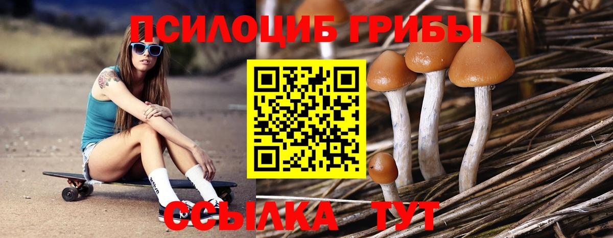 Псилоцибиновые грибы MAGIC MUSHROOMS Советск